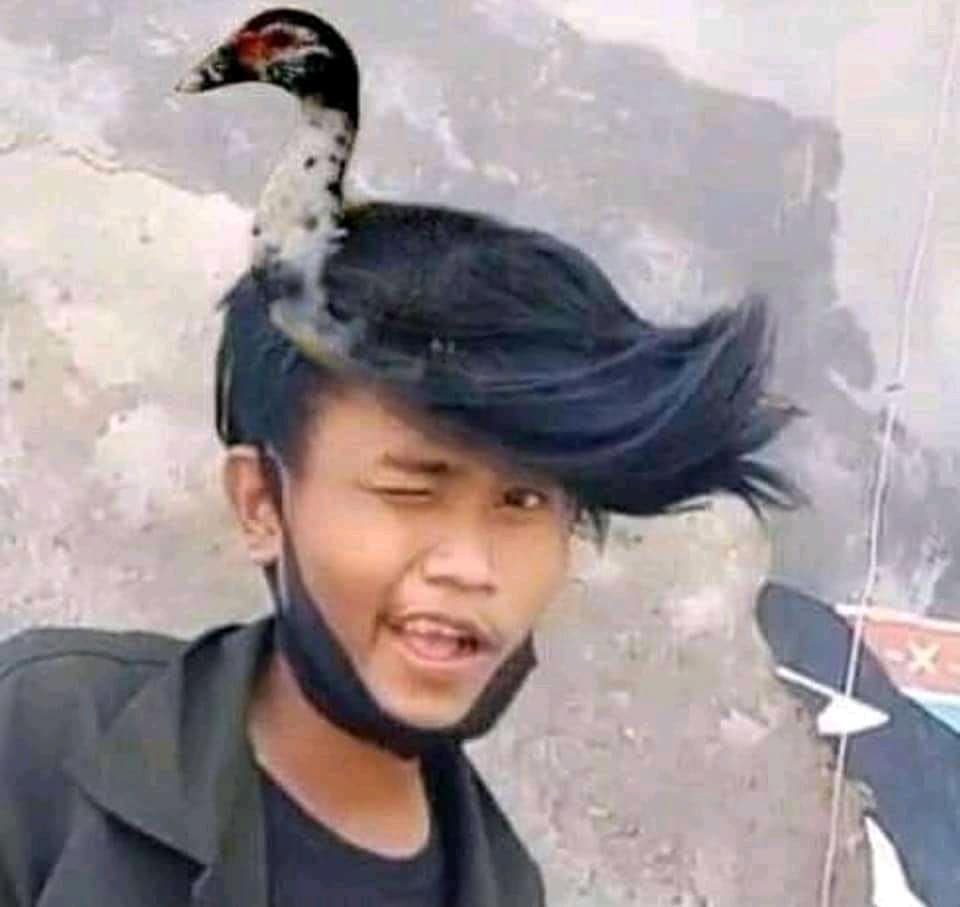 Deretan Editan gaya rambut yang absurd ini  bikin kamu geleng-geleng kepala